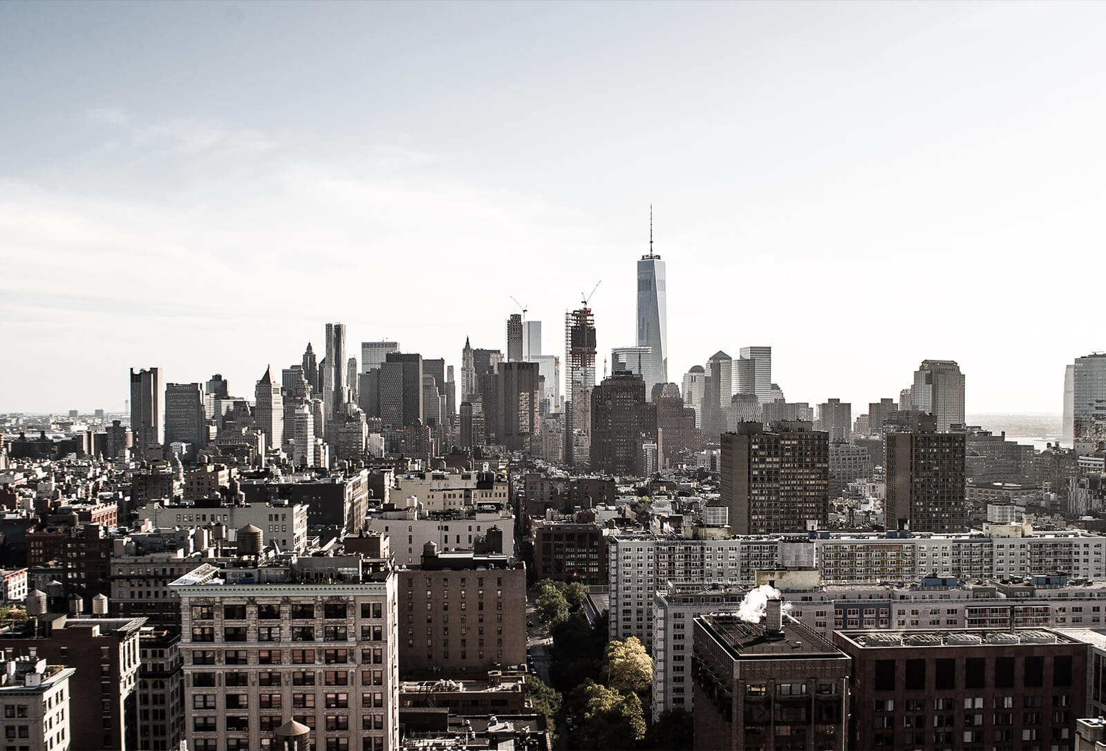 Business User Management